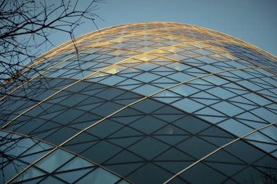 wormview photo of building