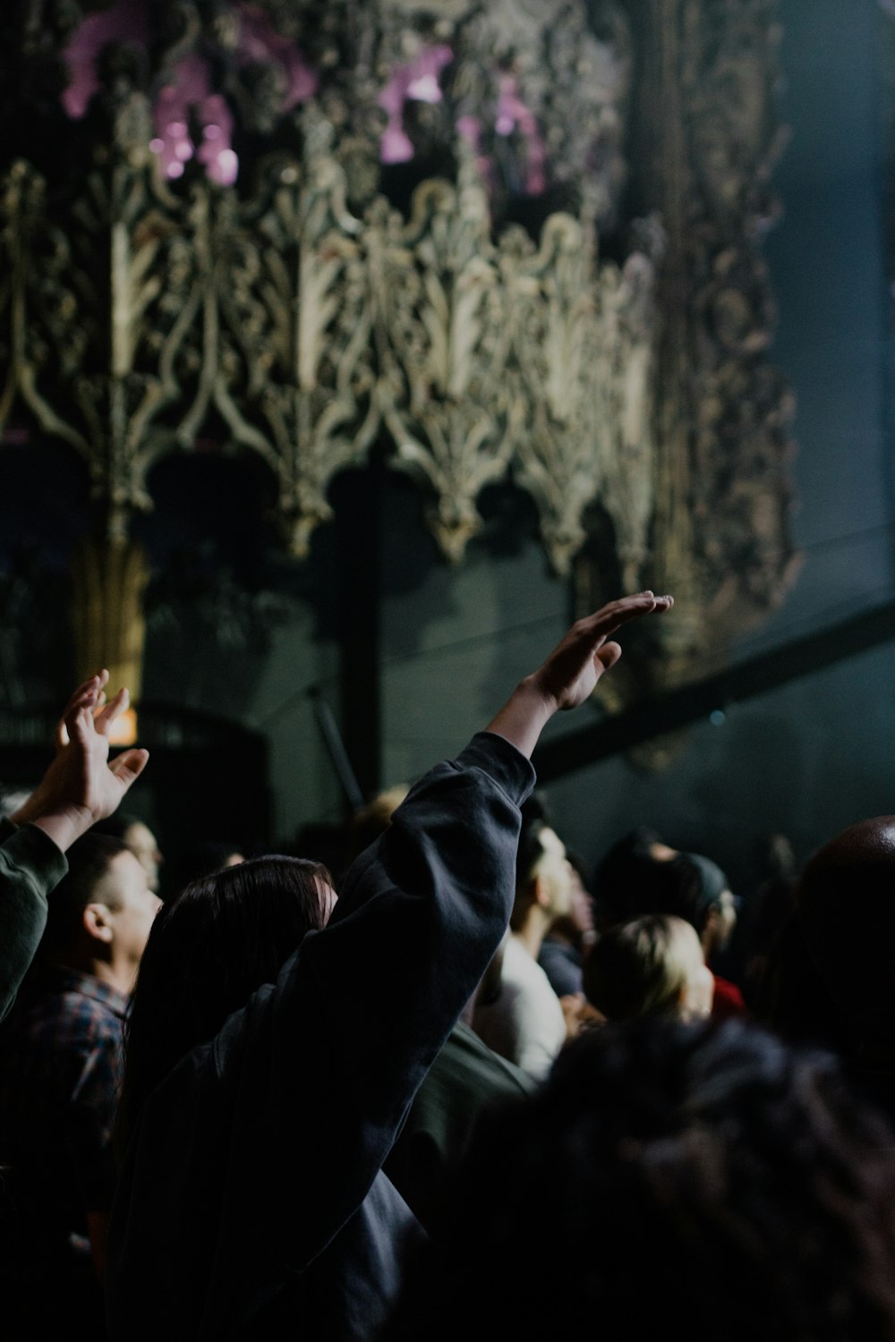 shallow focus photo of person raising right hand