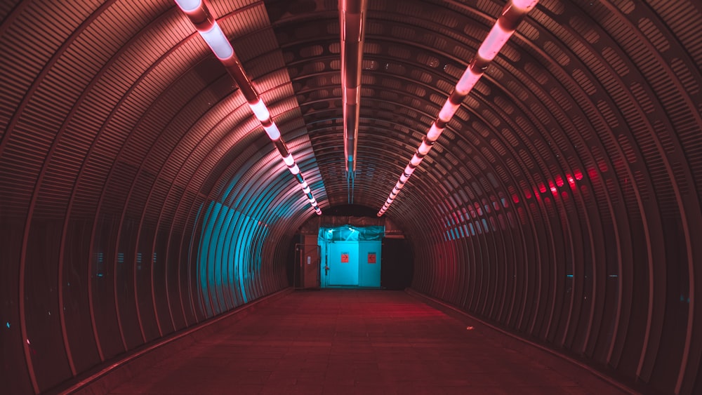 pink lighted tunnel with blue tunnel door