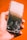 A hand is holding a smartphone with a severely cracked screen against an orange background. The phone is damaged, with visible cracks running across its surface.