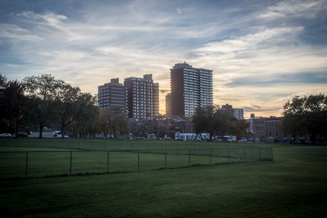 gray high-rise buildings