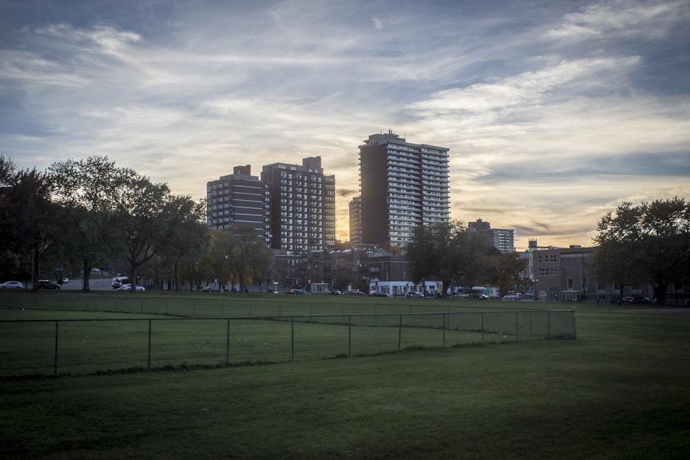 gray high-rise buildings