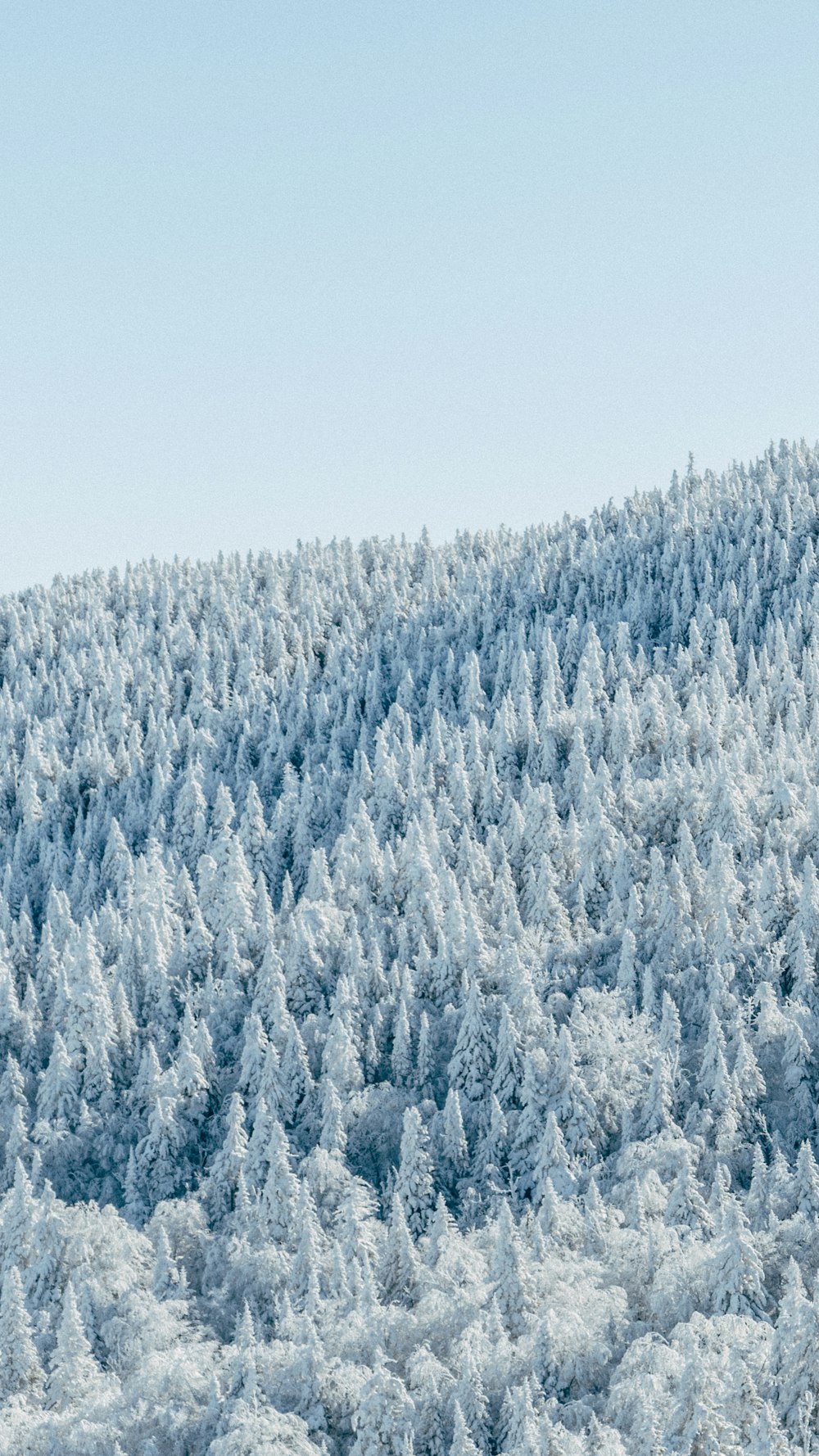 a person on skis in the middle of a snow covered mountain