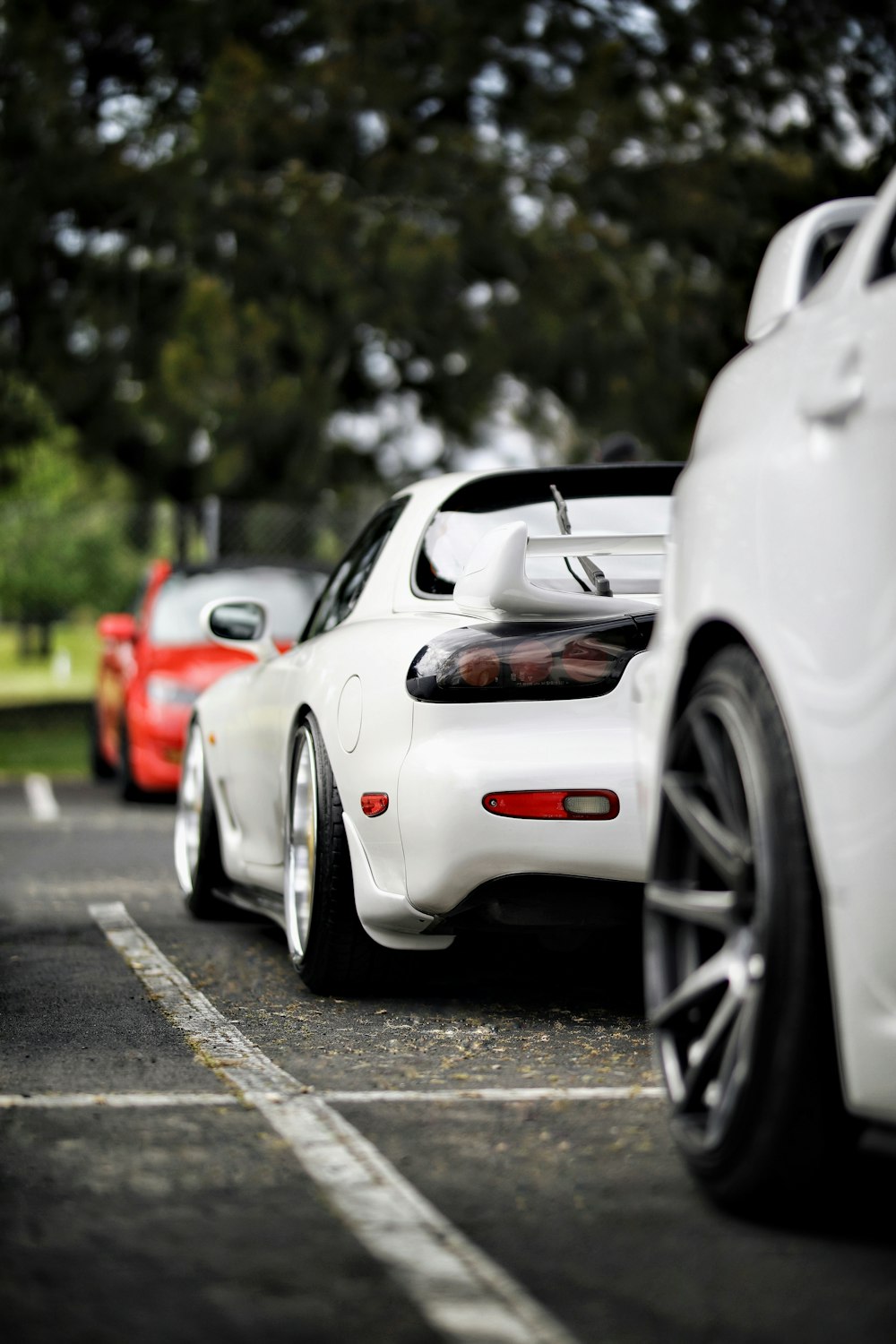 three white and red vehicles under trees