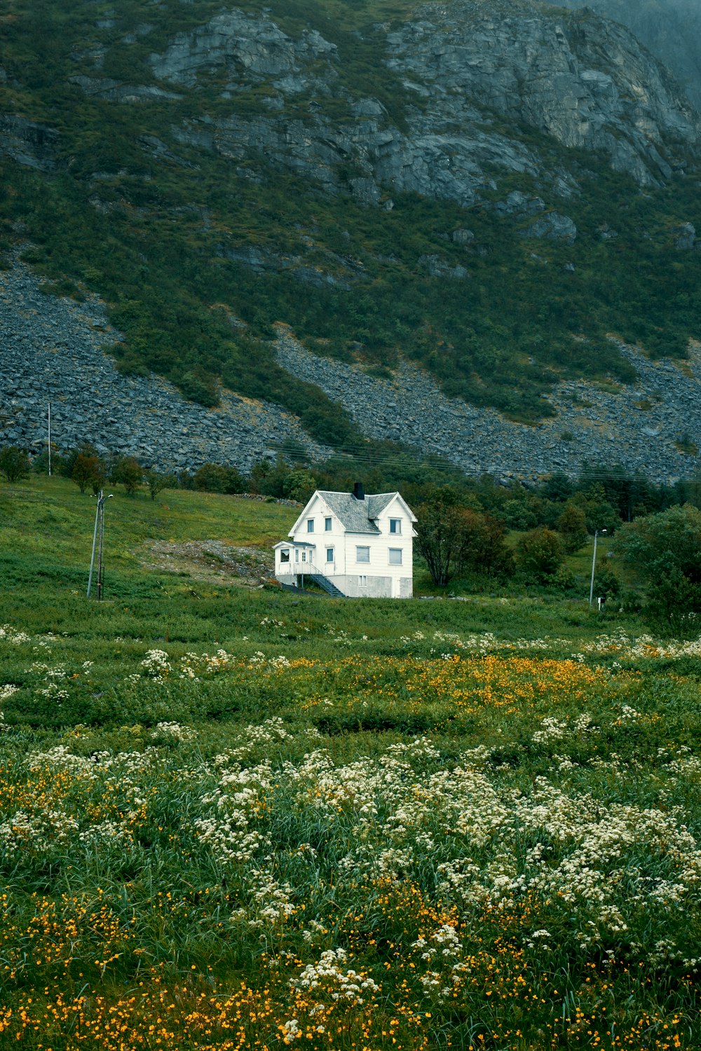 weiß gestrichenes Haus auf grüner Wiese