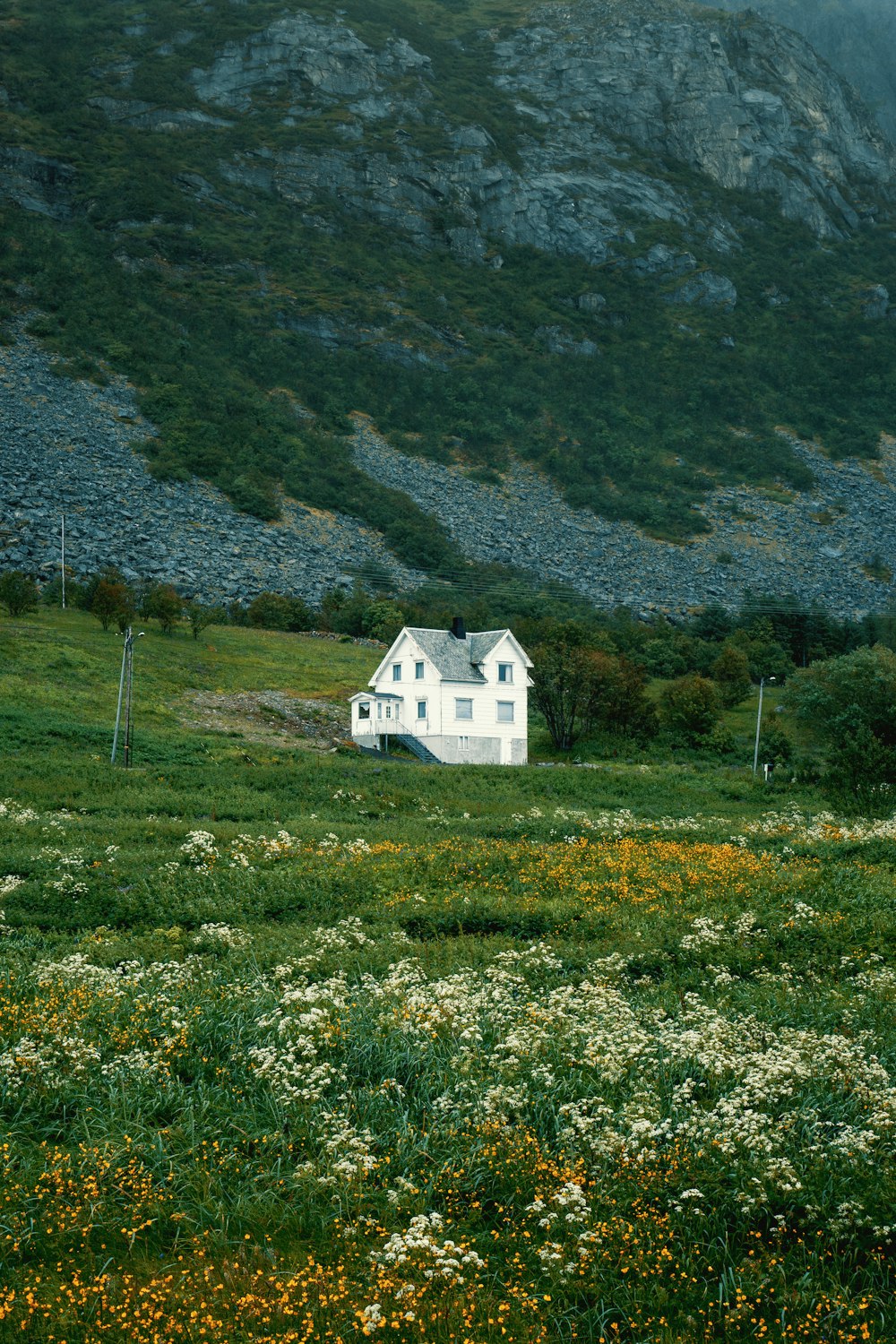 white painted house on green grass field