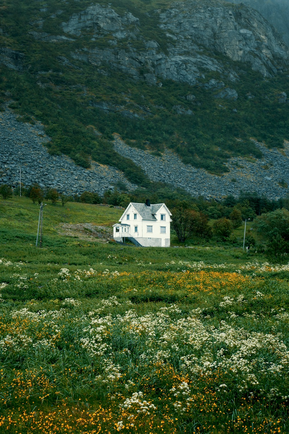 casa dipinta di bianco su campo di erba verde