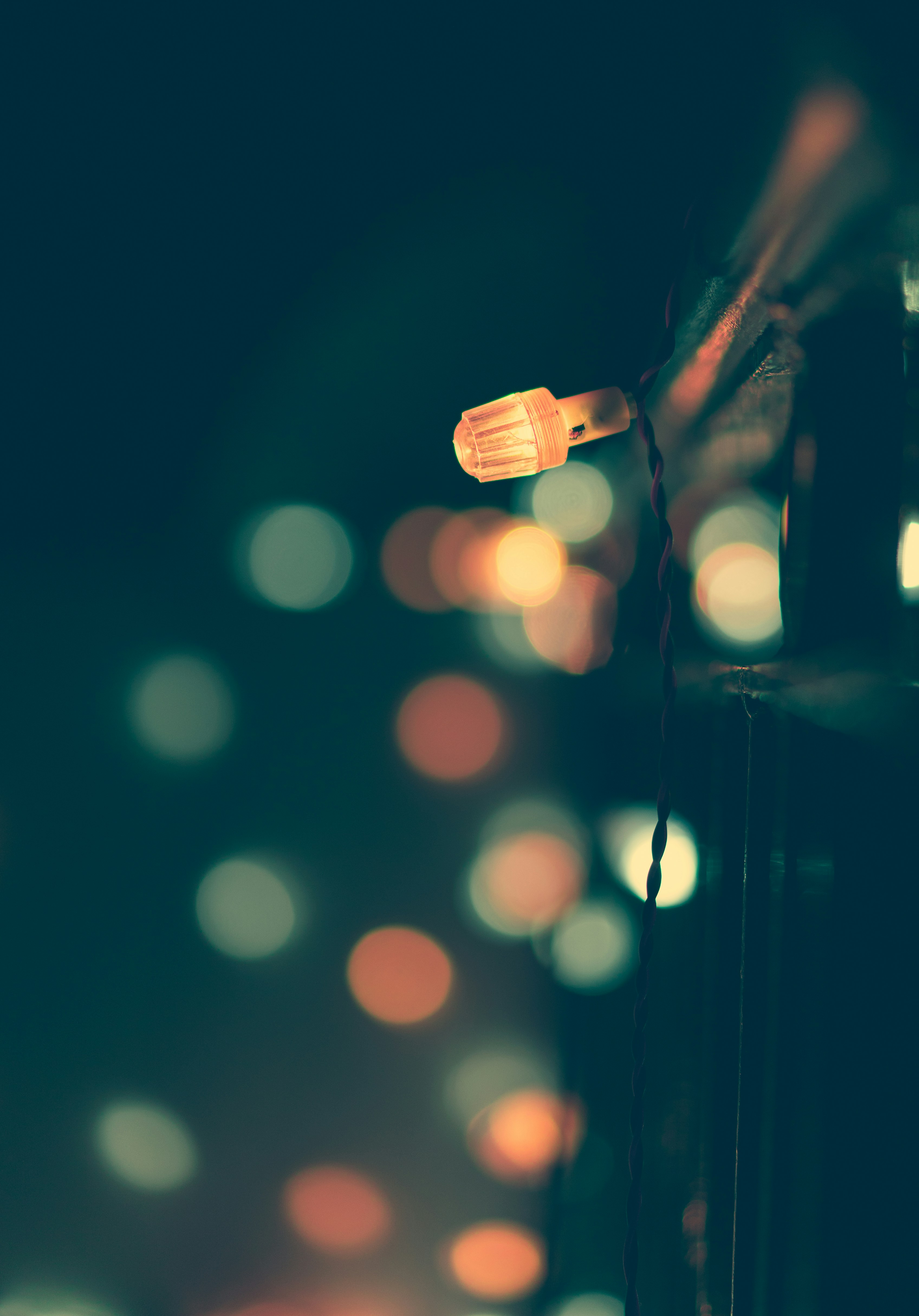 Photo by suicide_chewbacca