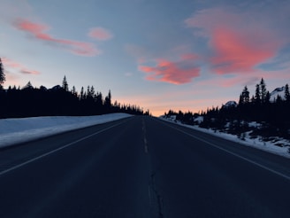 empty road with tree lines during sunset