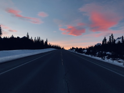 empty road with tree lines during sunset