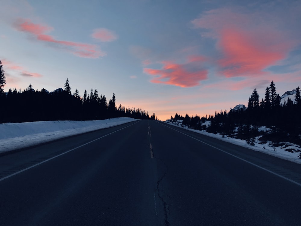 empty road with tree lines during sunset