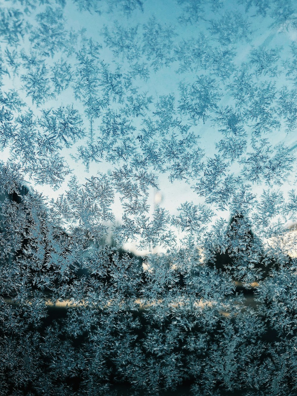 a frosted window with trees in the background