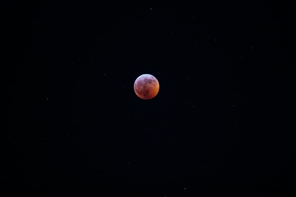 moon on focus photography