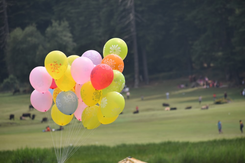 pink and yellow latex balloons on mid air