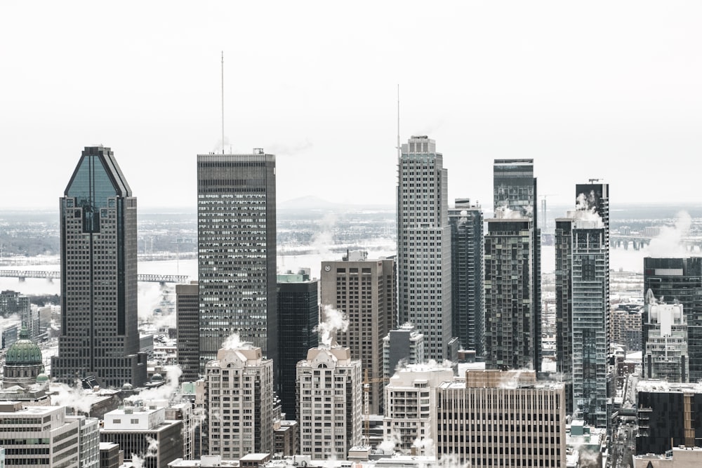 aerial photography of city buildings during daytime