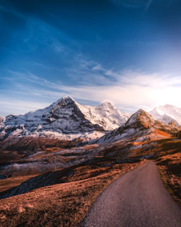 A winding mountain path framed by wildflowers and distant snow-capped peaks under soft morning light.