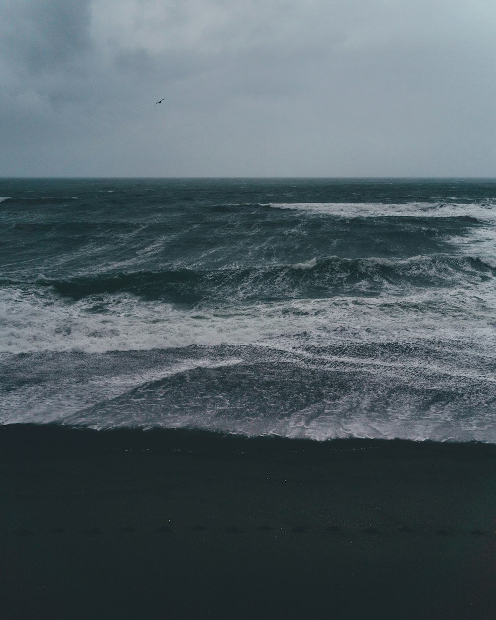 seashore under gray sky