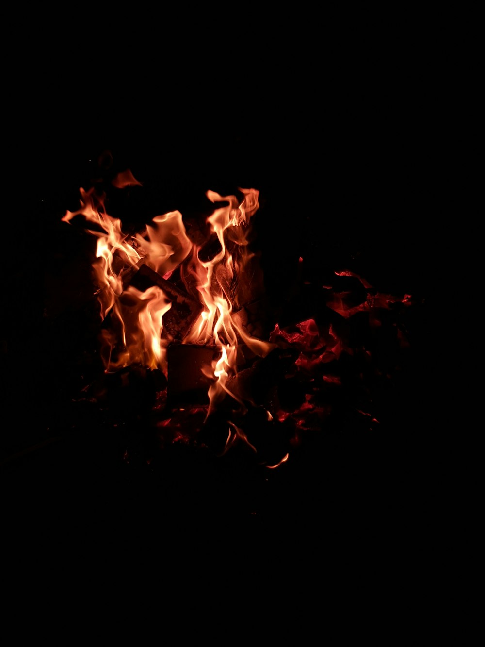 夜の焚き火