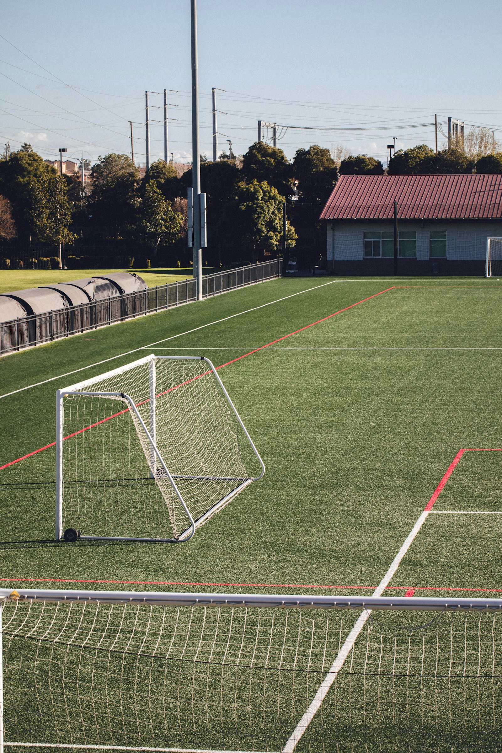 Canon EF 100mm F2.8L Macro IS USM sample photo. Green soccer fiend near photography