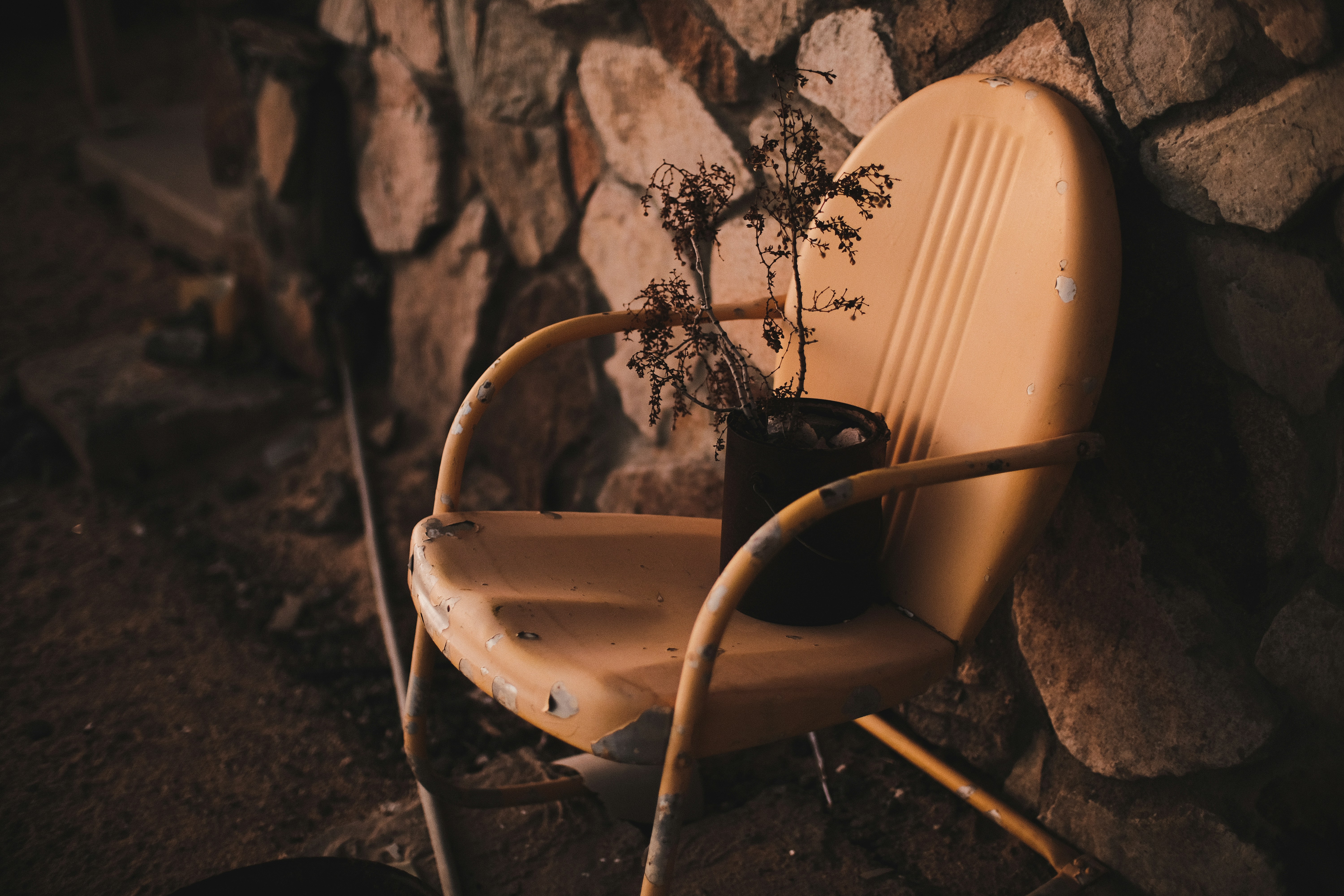 Photo by johngibbons