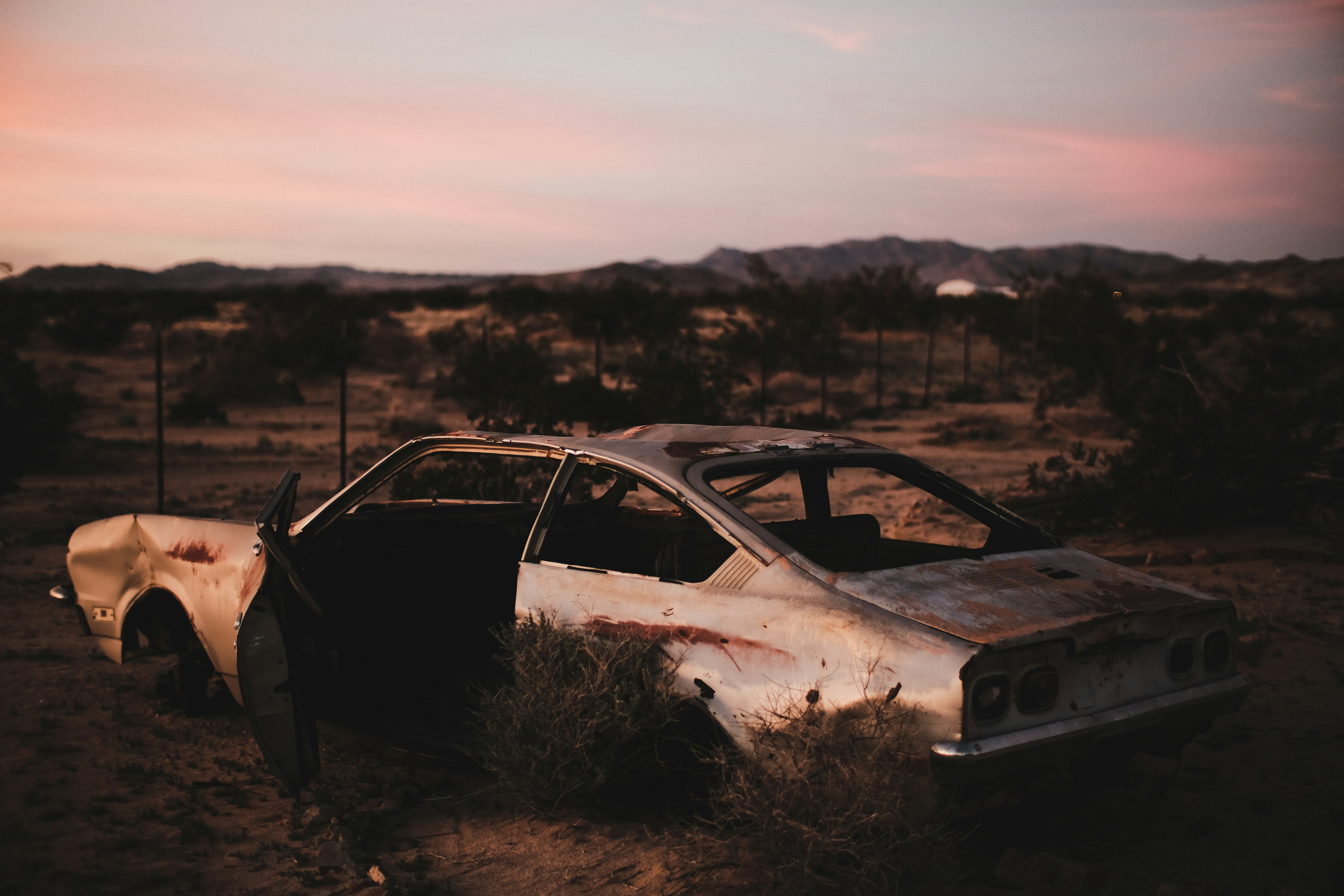 Photo by johngibbons