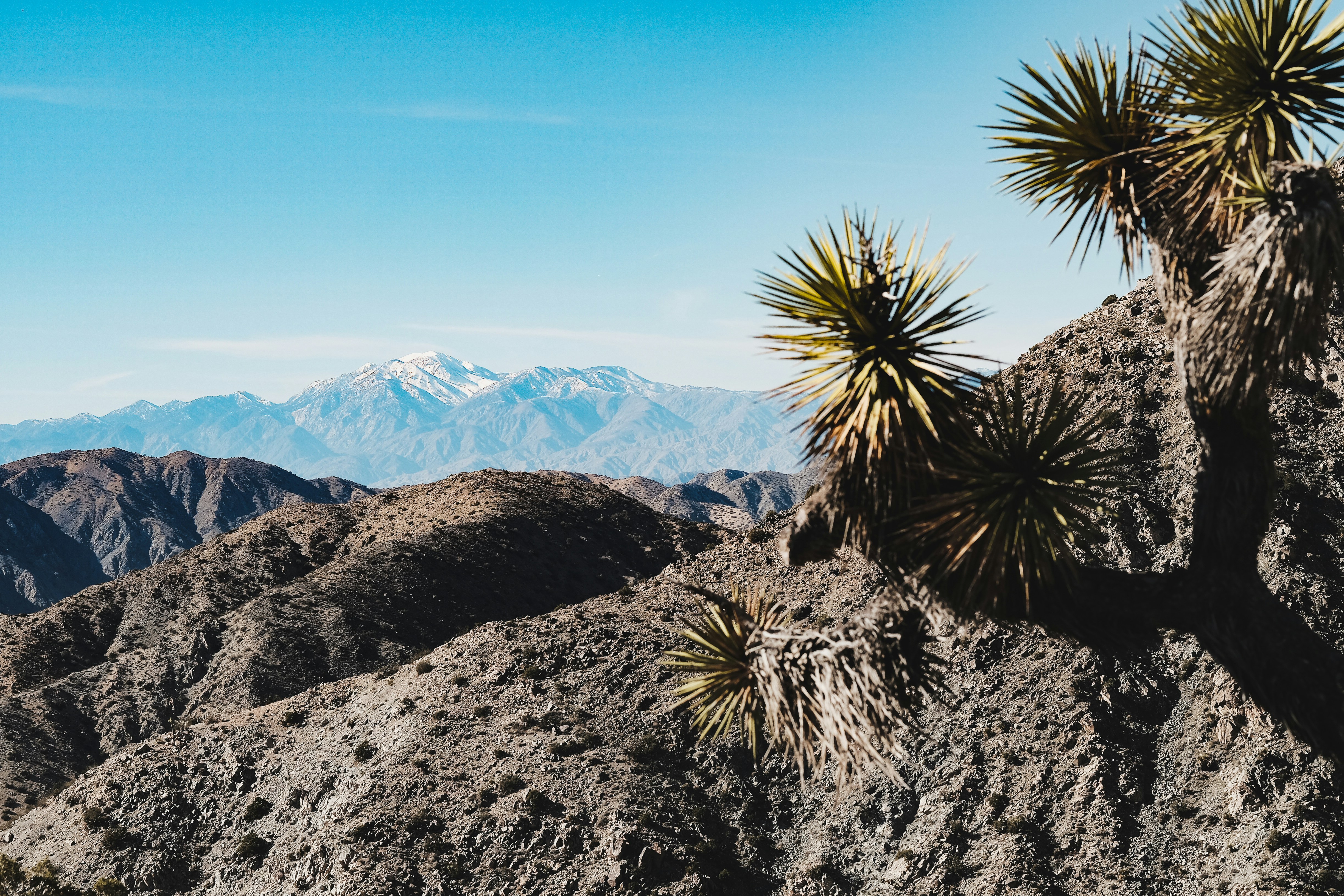 Photo by johngibbons