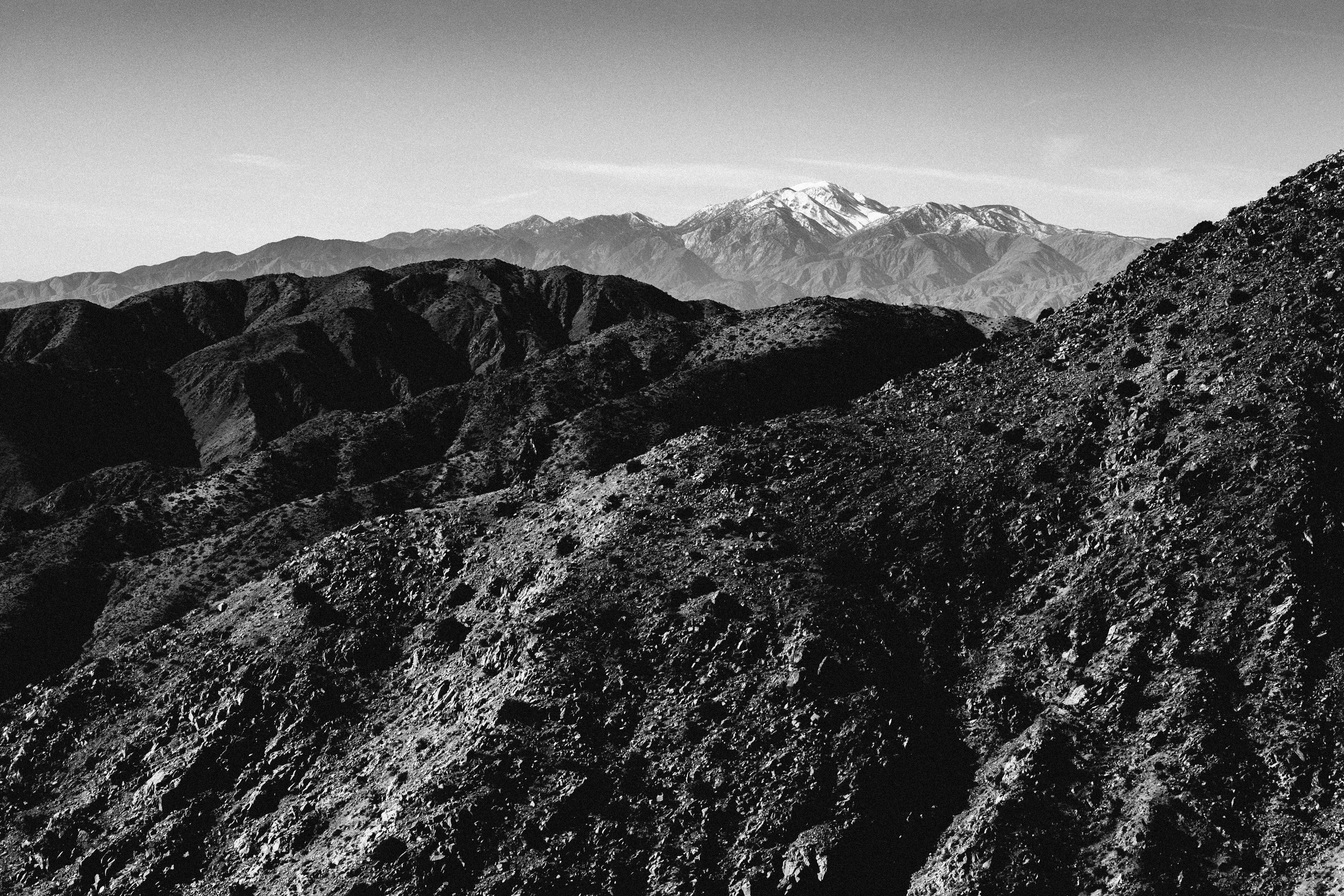 Photo by johngibbons