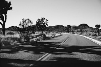 graysacle photo of concrete road