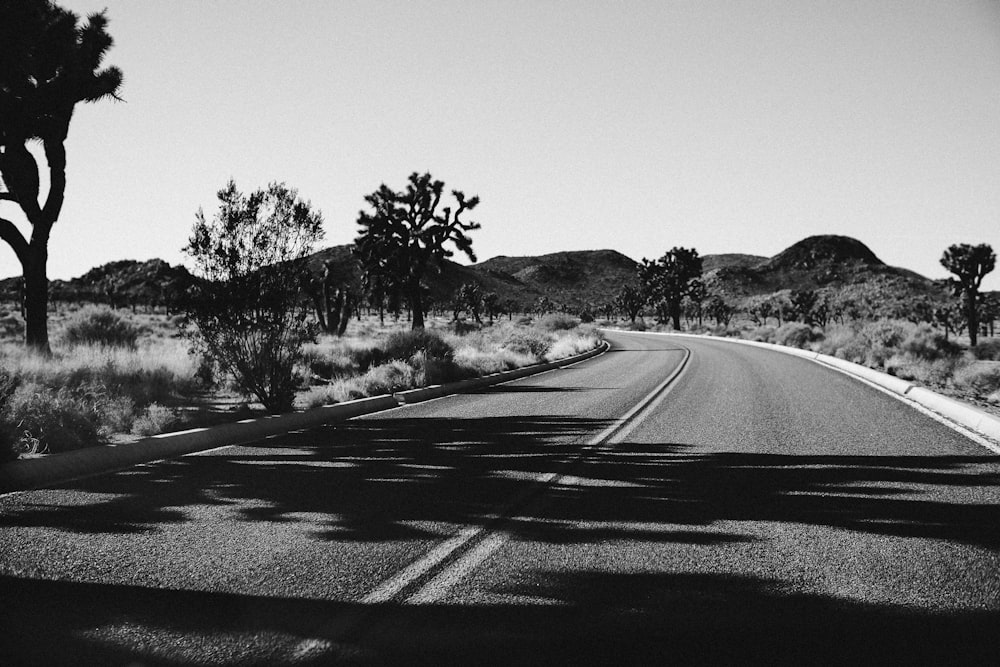 graysacle photo of concrete road