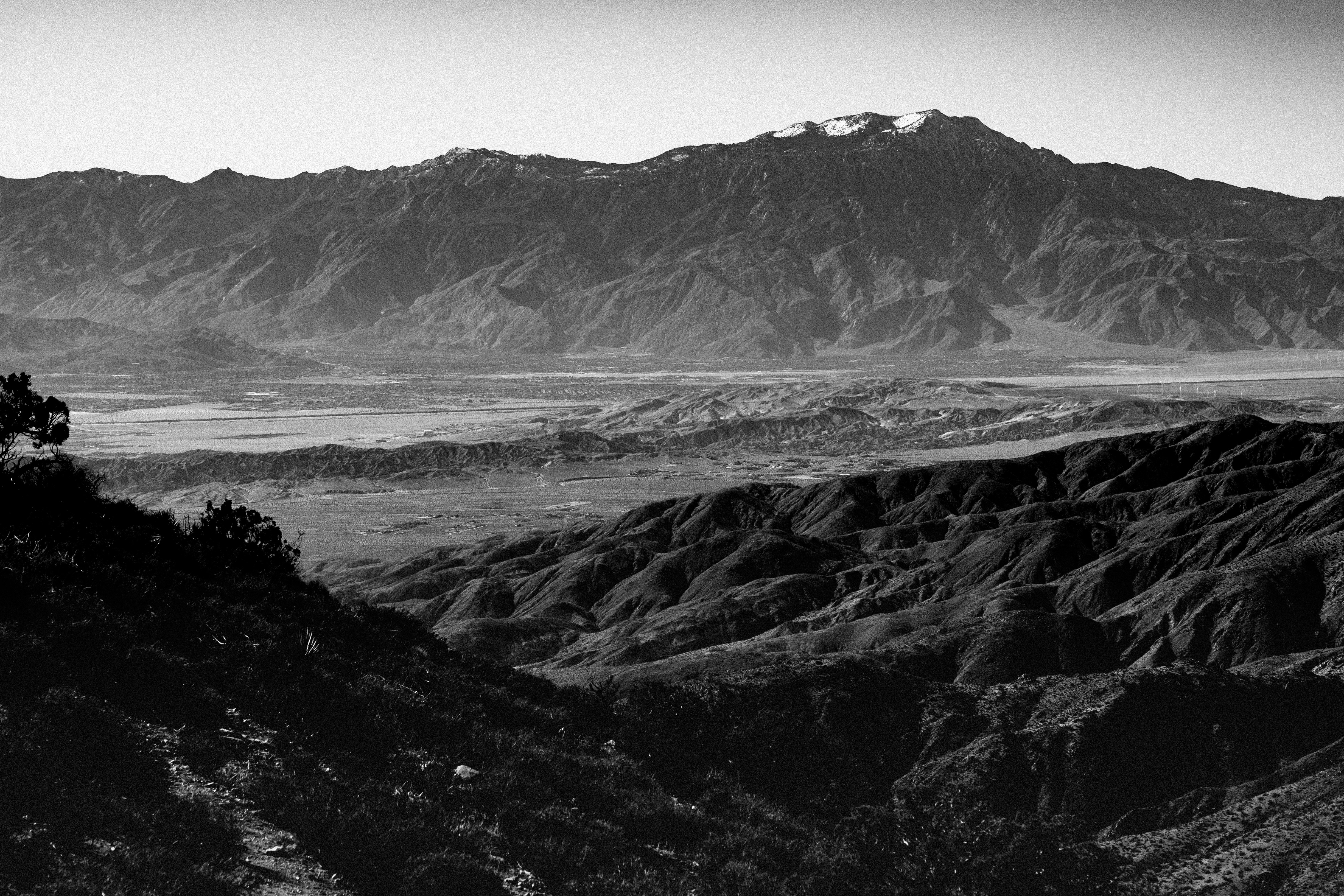 Photo by johngibbons