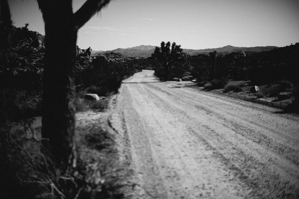 a black and white photo of a dirt road