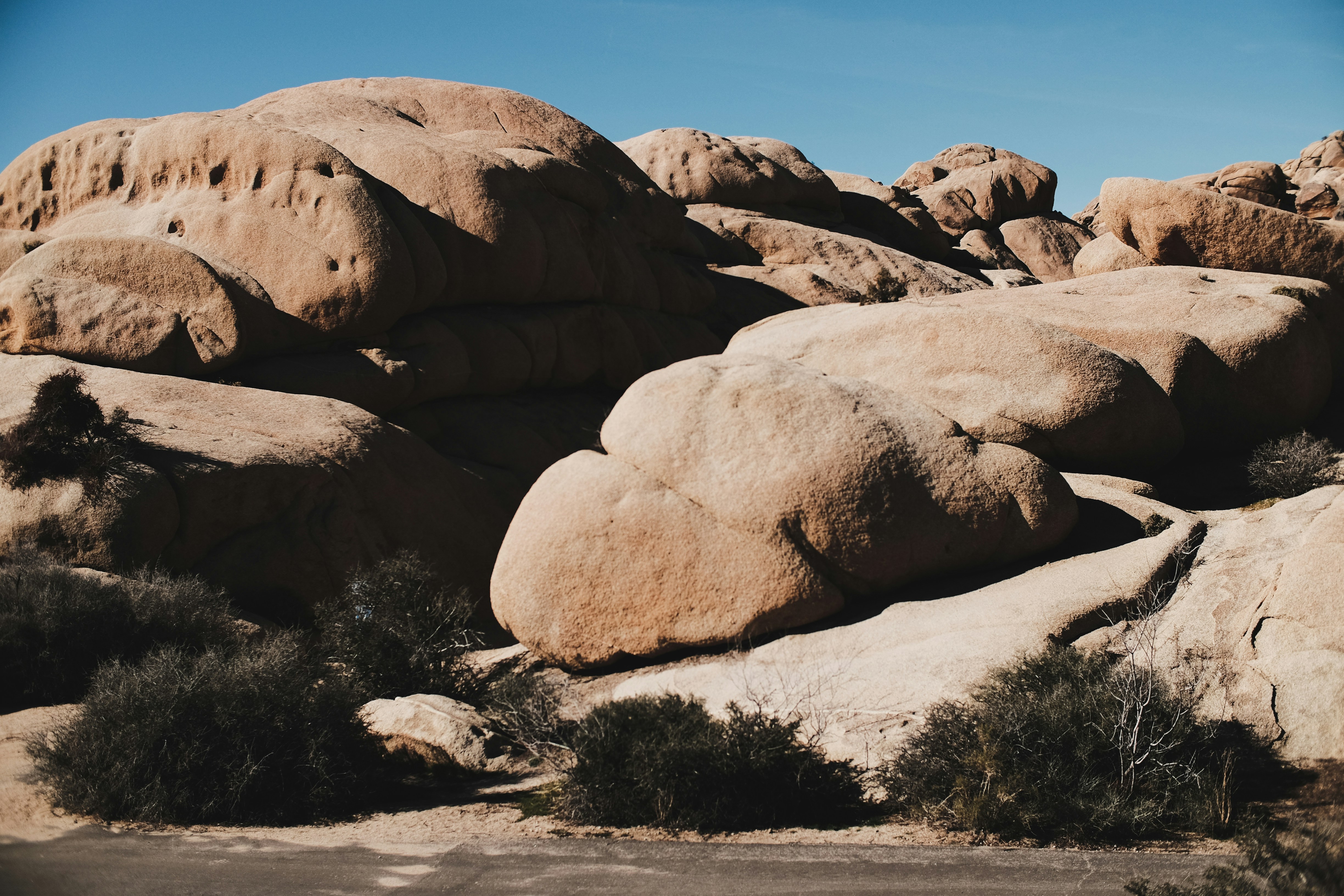 Photo by johngibbons