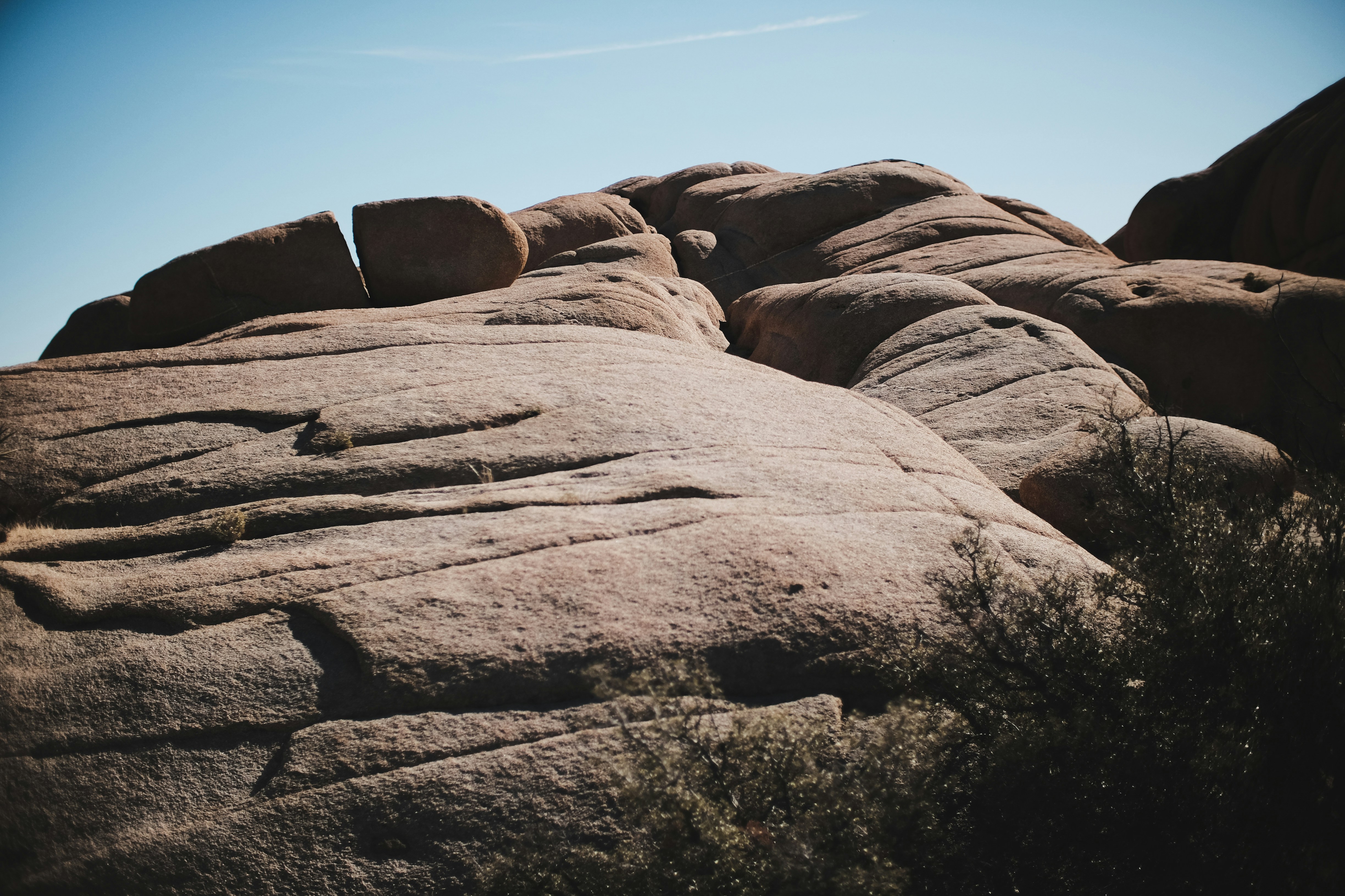 Photo by johngibbons