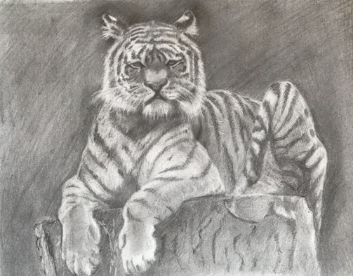 A detailed graphite drawing of a wild animal's face, highlighting intense eyes and subtle textures.