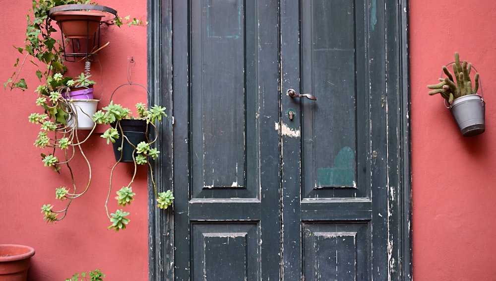 green-leafed potted plants on pot beside orange wall