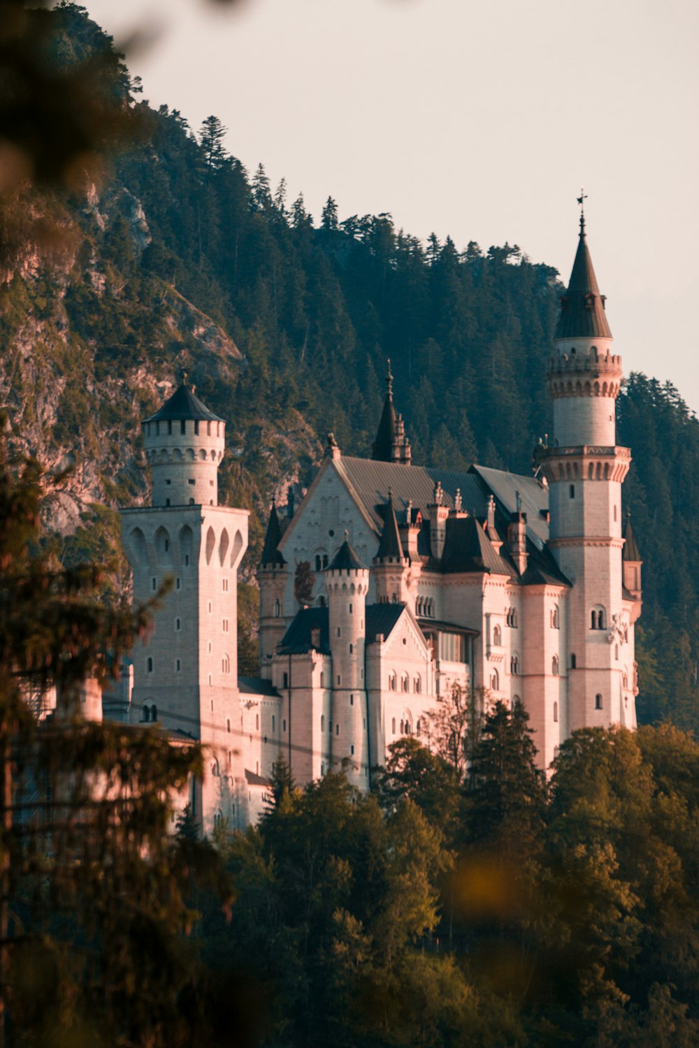 white and black castle surrounded by trees