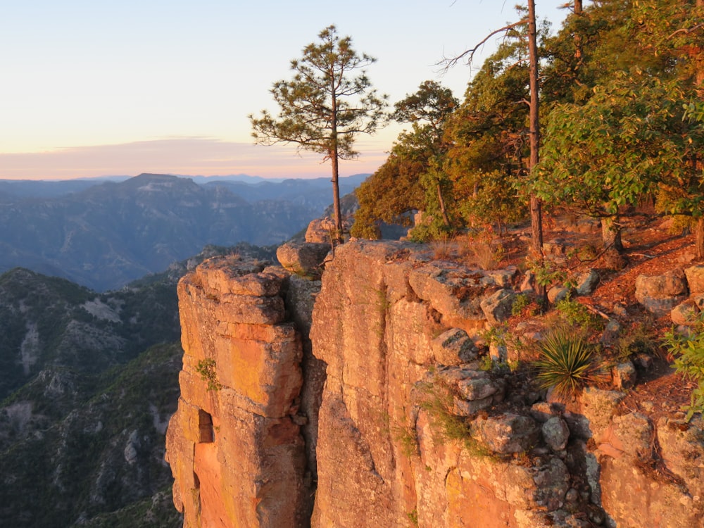 green trees on rocky mountain