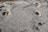 A frozen body of water with visible patterns and swirls in the ice. Several rocks are scattered across the surface, some partially embedded in the ice. Shadows of nearby branches are cast over the icy surface, adding an abstract element to the scene.