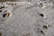 A frozen body of water with visible patterns and swirls in the ice. Several rocks are scattered across the surface, some partially embedded in the ice. Shadows of nearby branches are cast over the icy surface, adding an abstract element to the scene.