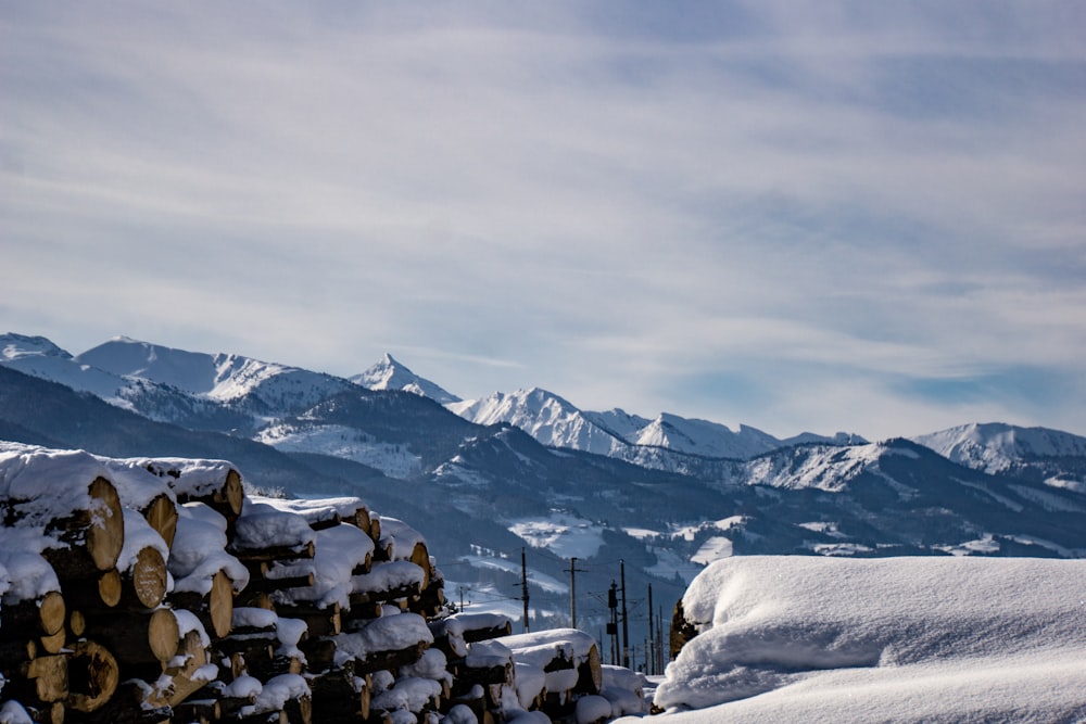 snow covered file of firewood