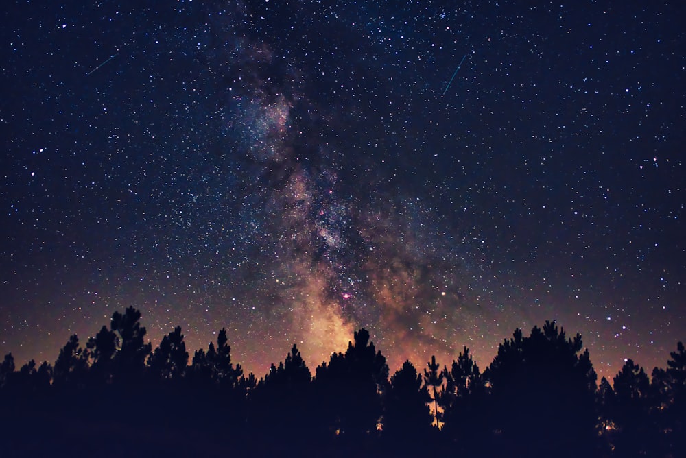 Un cielo notturno pieno di tante stelle