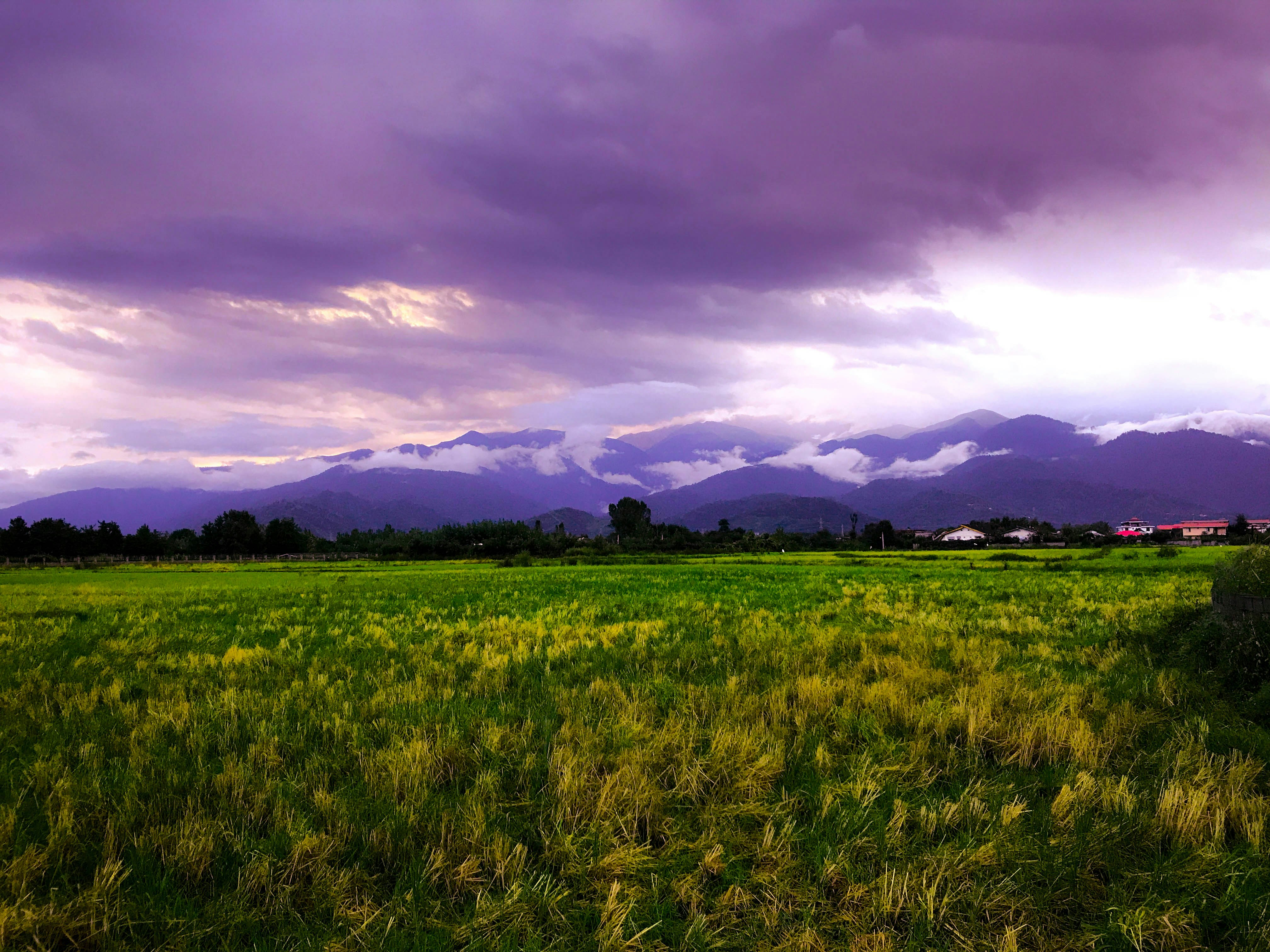 Photo by afshin300