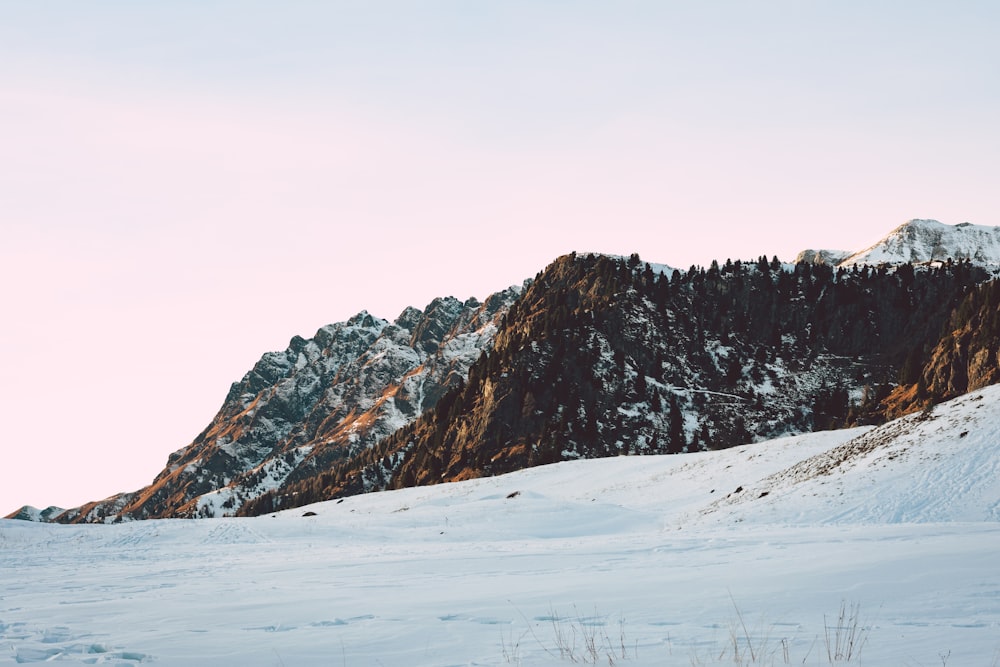 snow covered field under white sky during daytime