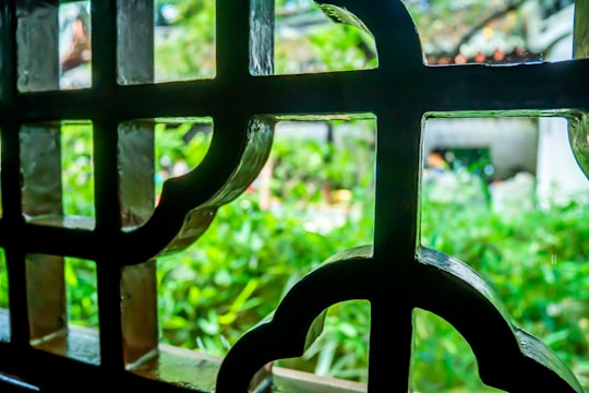 Close-up of decorative metal security grilles with a natural, earthy background.