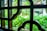 An ornate window grille made of metal is in the foreground, displaying decorative geometric patterns. Through the grille, a lush, green garden is visible in soft focus, hinting at a peaceful and natural outdoor setting.
