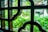 An ornate window grille made of metal is in the foreground, displaying decorative geometric patterns. Through the grille, a lush, green garden is visible in soft focus, hinting at a peaceful and natural outdoor setting.