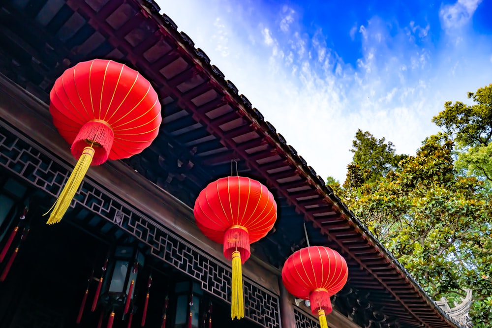 red Chinese lantern during daytime