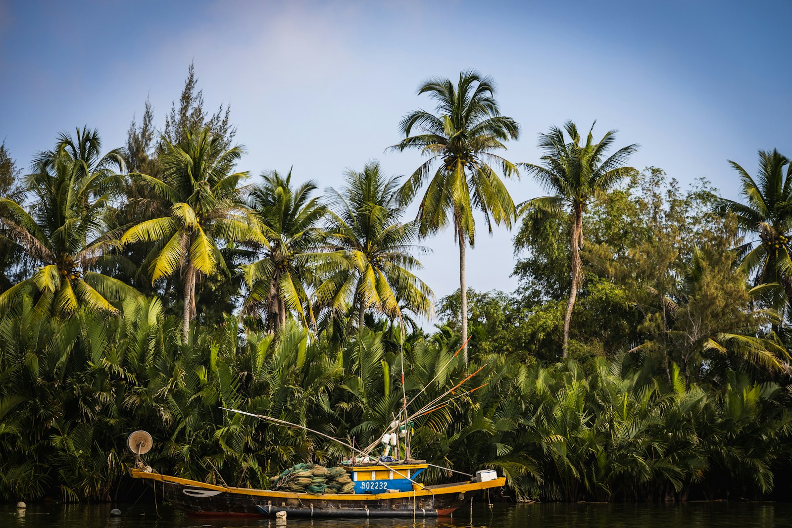 Canon RF 24-105mm F4L IS USM sample photo. Green coconut trees under photography