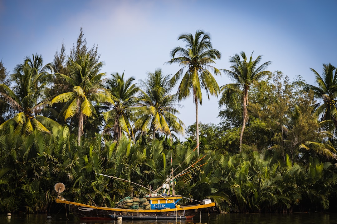 Tropics photo spot ĐH15 Vietnam