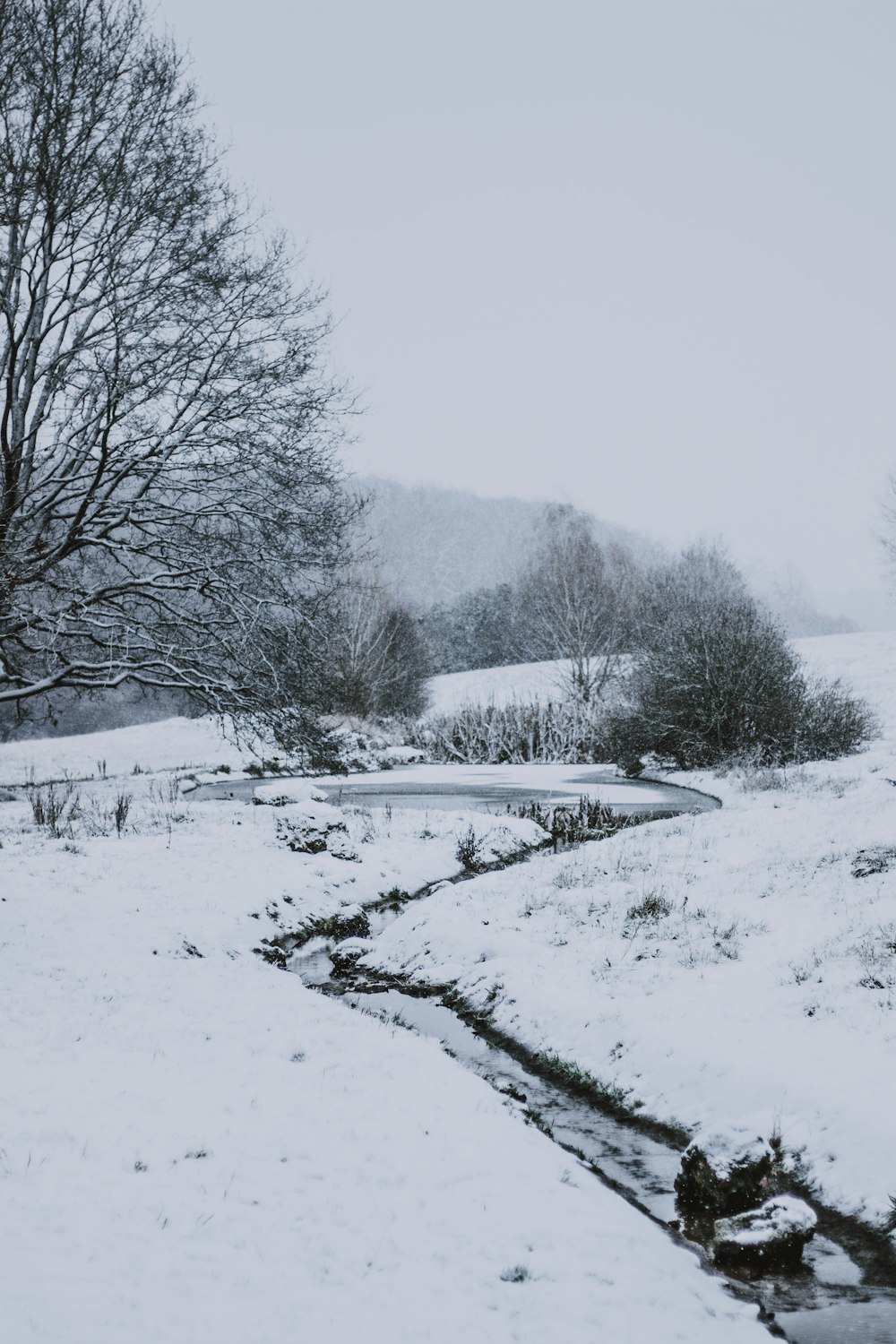 body of water between field covered with snow